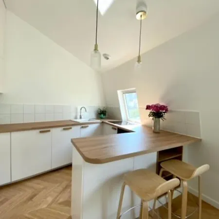 Apartment 2 Pieces Recent Champs Elysees Paris